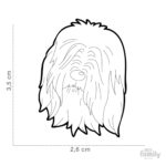 Myfamily Bearded collie