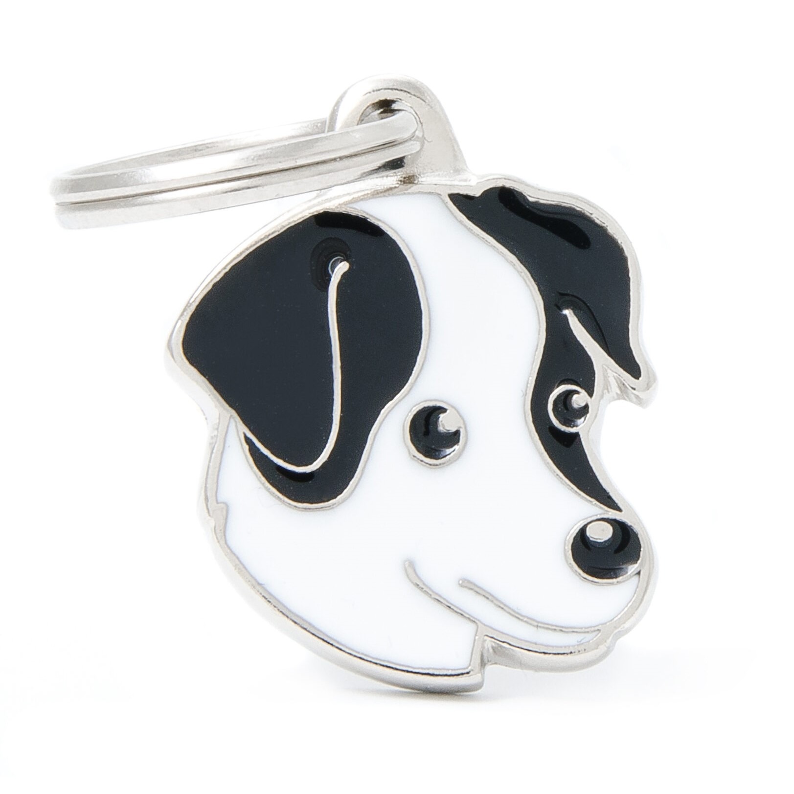 Myfamily Jack Russell terrier Myfamily Jack Russell terrier