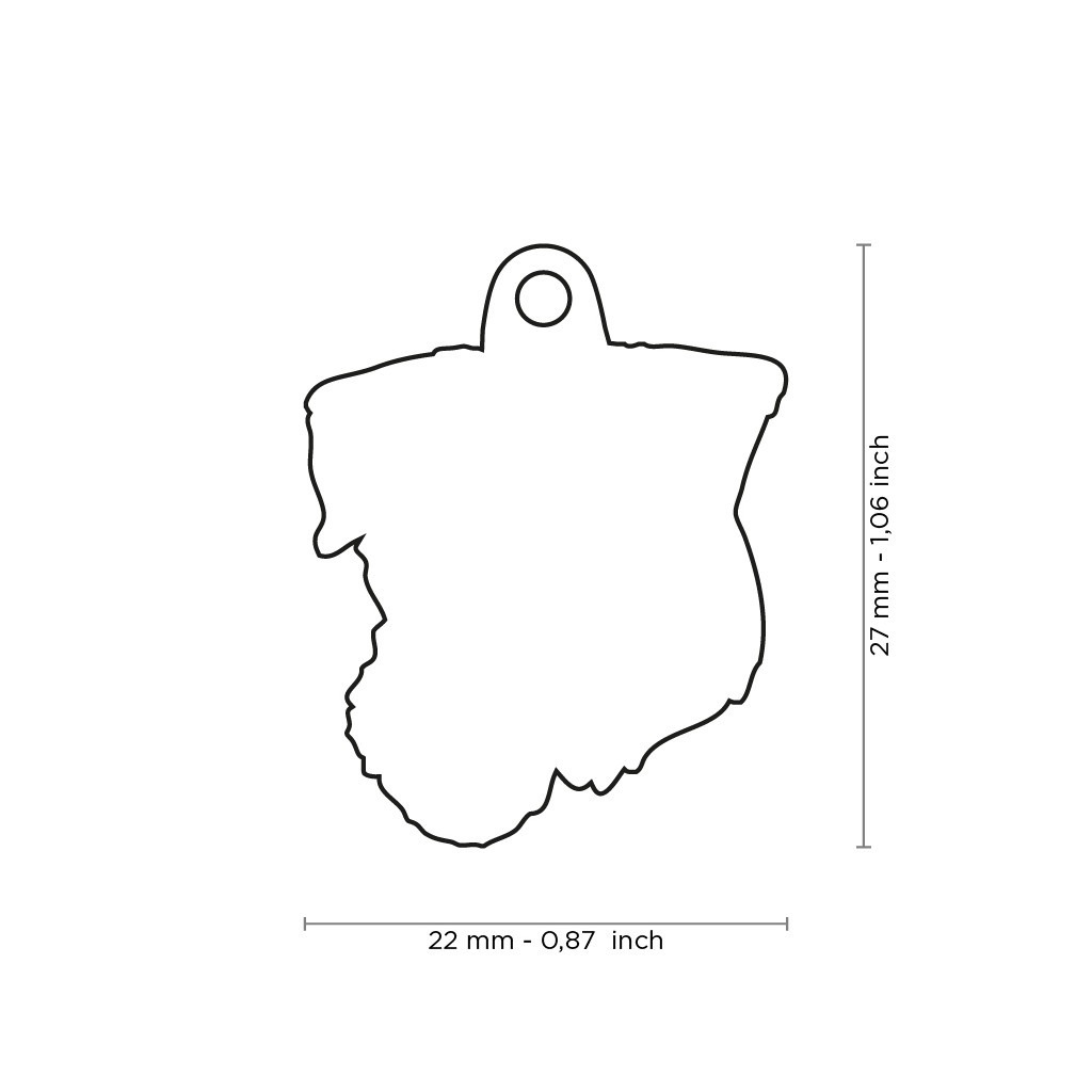 Myfamily Jack Russell terrier Myfamily Jack Russell terrier