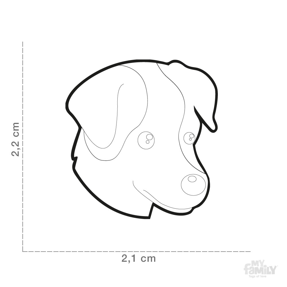 Myfamily Jack Russell terrier Myfamily Jack Russell terrier