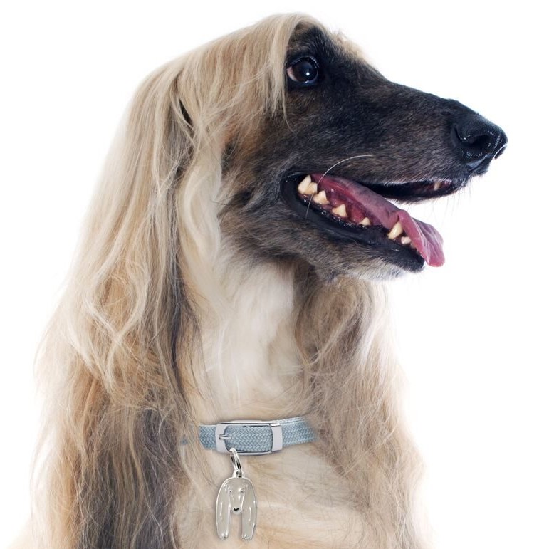 Myfamily Afghansk mynde IDtag