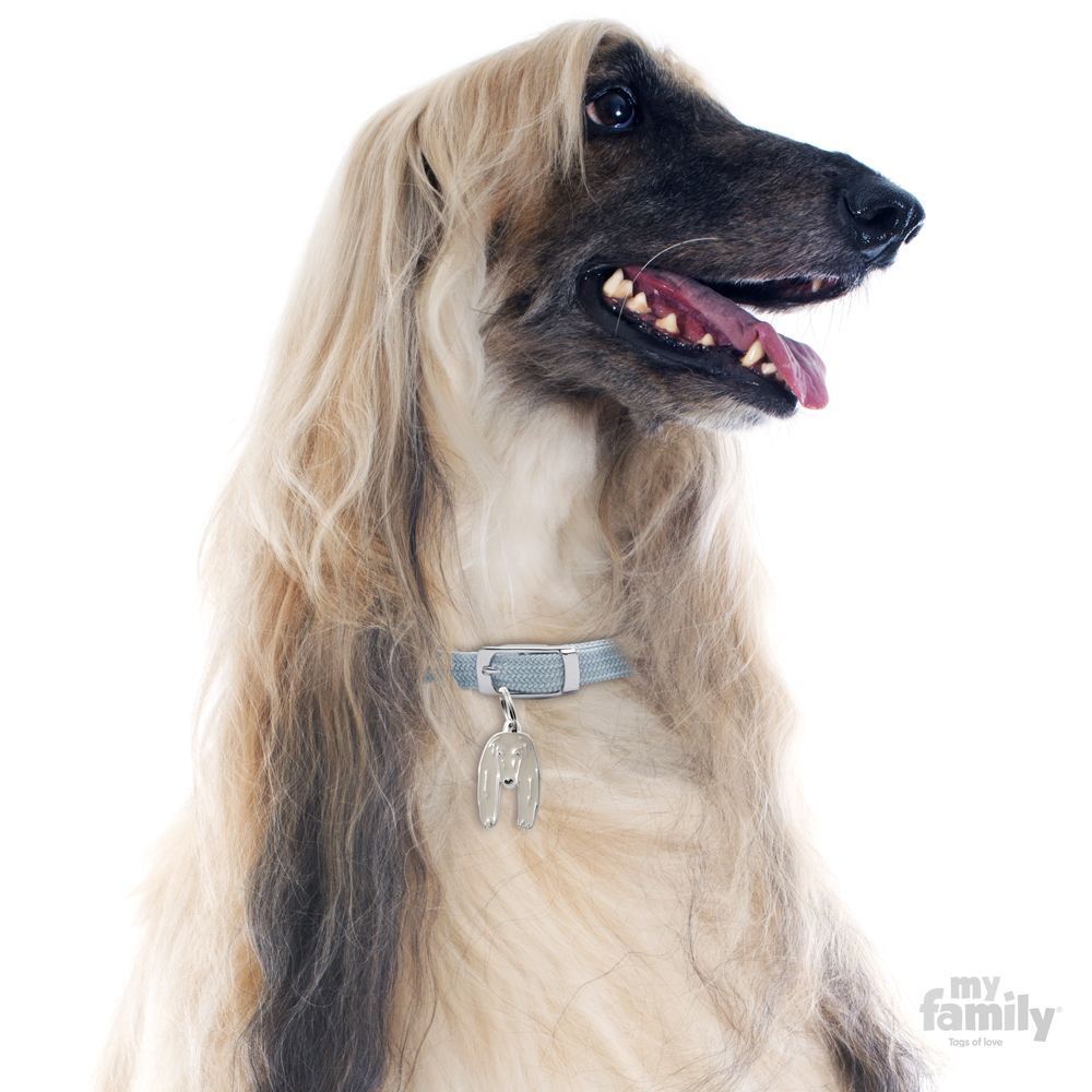 Myfamily Afghansk mynde IDtag