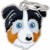 Myfamily Australian shepherd IDtag Myfamily Australian shepherd IDtag