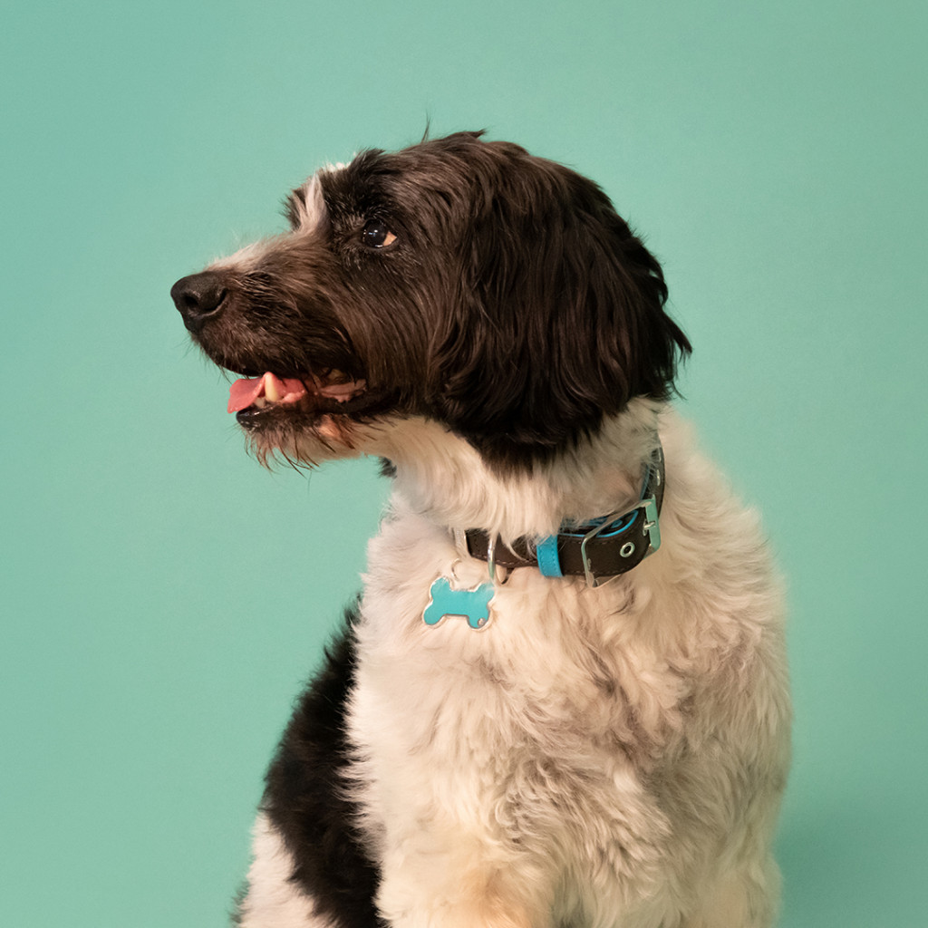 Myfamily Basic Bein håndlaget ID tag