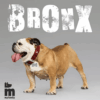 Myfamily Bronx bein plattform ID tag