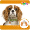 Myfamily Cavalier king charles IDtag Myfamily Cavalier king charles IDtag
