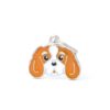 Myfamily Cavalier king charles IDtag Myfamily Cavalier king charles IDtag
