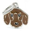 Myfamily Dachshund IDtag Myfamily Dachshund IDtag