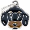 Myfamily Dachshund IDtag Myfamily Dachshund IDtag