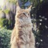 Myfamily Maine Coon IDtag Myfamily Maine Coon IDtag