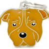 Myfamily Staffordshire Bull terrier IDtag Myfamily Staffordshire Bull terrier IDtag