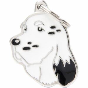 MyFamily Engelsk Setter IDtag